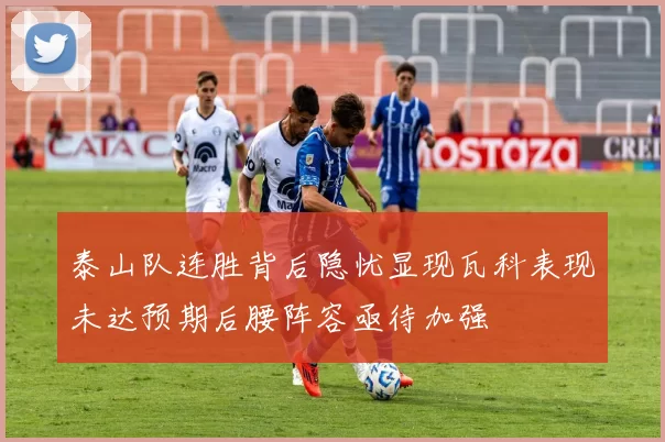 泰山队连胜背后隐忧显现瓦科表现未达预期后腰阵容亟待加强