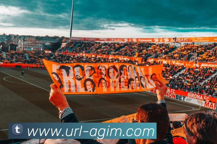 AG娱乐APP 封面图